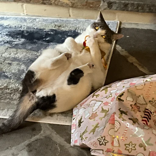 DADA THE GREAT avatar